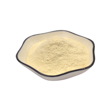 Food Grade Lactobacillus Fermentum 20 billion CFU/g